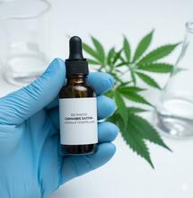 Aprobado el cannabis medicinal en España: Guía de la nueva ley