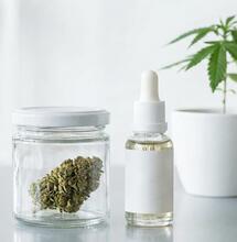 Cannabis en España 2025-2026: más consciente y profesional