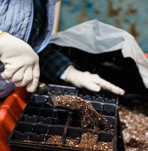 Plant Propagation Essentials