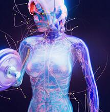 ilustración de cuerpo humano feminino haciendo ejercicio 