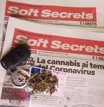 Cannabis terapeutica e patente di guida