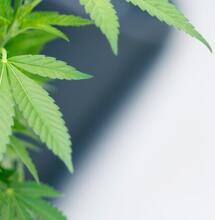 Doede de Jong hoeft definitief niets aan de Staat te betalen