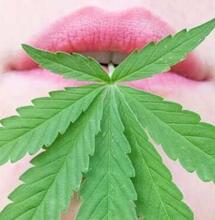 Heilkräftiger Cannabis-Bitter