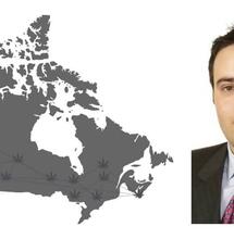 Incoming Cannabis Wheaton president Hugo Alves on the state of the industry