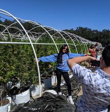 Turismo della cannabis, un'industria da 17 miliardi