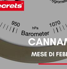 Cannametro del mese di Febbraio 2021