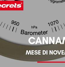 Cannametro del mese di Novembre 2020