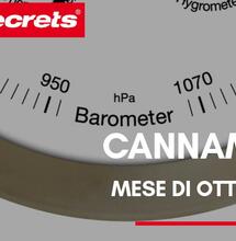 Cannametro del mese di Ottobre 2020