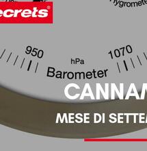 Cannametro del mese di Settembre 2020