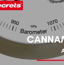 Cannametro dell'anno 2020