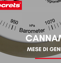 Cannametro di Gennaio 2020