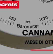 Cannametro di Ottobre 2019