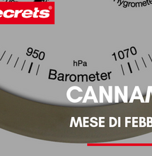 Cannametro di Febbraio 2020