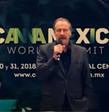 Messico, ex presidente nel business della Cannabis