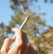 Cannabis medica e malattie del sistema nervoso