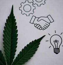 Cáñamo industrial: Extremadura