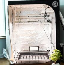 Cultivo indoor todo lo necesario