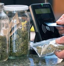 Cashback e cannabis legale: un'accoppiata inedita