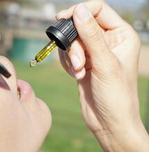 ¿CBD aislado o de espectro completo?