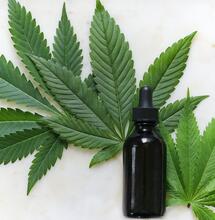 CBD: marihuana legal y terapéutica