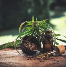 CBD in Europa: L'Efsa avvia una consultazione pubblica. Ora serve la risposta del settore