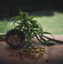 CBD for Arthritis Pain: What Seniors Should Know Before Trying It