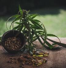 CBD ist schmerzlindernd bei Arthritis