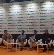 Farmaforum 2025: La Involución del Cannabis