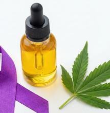 CBD y Epilepsia: Hacia el Purple Day 2026