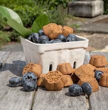 CBD snacks en -olie voor honden steeds populairder