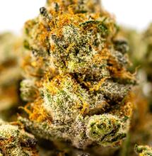 Función de la celulasa en el cultivo cannábico