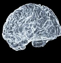 ¿Se recupera el cerebro tras dejar de fumar marihuana?