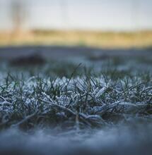 ¿Cómo cultivar cannabis en invierno?