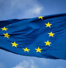 Canapa industriale: l’UE accoglie la petizione della filiera italiana e avvia un’indagine preliminare