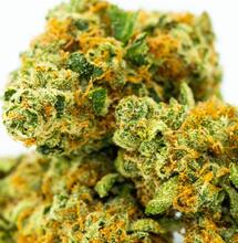 classic cannabis strains, cheese UK weed