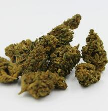 amnesia haze cannabis strain