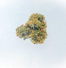 Blueberry classic cannabis strains 