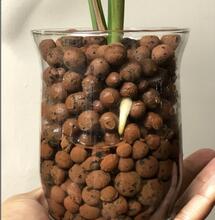 How to use Clay Pebbles