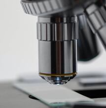 5 Countries in the World Leading in Medical Cannabis Research