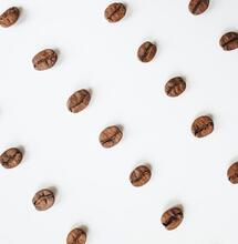 Coffee Beans in Cannabis Gardening