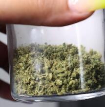 Colombia agiliza trámites para exportar CBD y cáñamo.