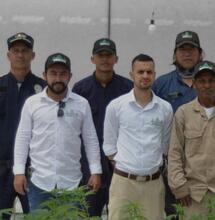 Industria cannábica en Colombia sigue creciendo