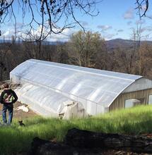 Coltivare cannabis in serra con Jorge Cervantes