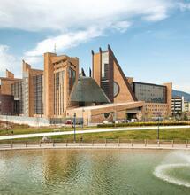 Coltivava cannabis in giardino, assolto perché dimostrato l'uso personale