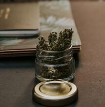 Comienza tu Diario de Marihuana: Efecto del Cannabis, Sabor del Cannabis...