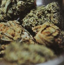 Dry Sift Hash: paso a paso una gran extracción