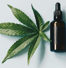 ¿Cómo preparar una tintura de cannabis?