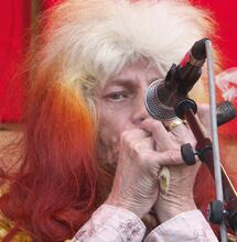 Congogras in Antwerpen