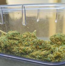 A sealed container with green kush. 