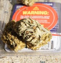 Controllo qualità Cannabis: come tutelare i consumatori